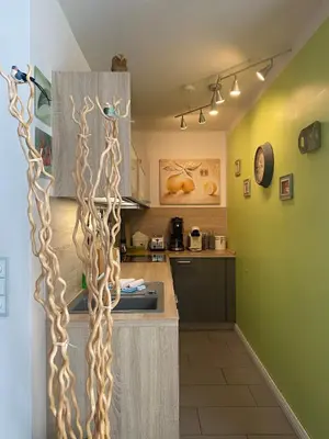 Küche/Küchenzeile in der Unterkunft Luxus Ferienwohnung Traumblick Hahnenklee 4Sterne DTV