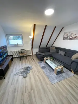 TV/Unterhaltungsangebot in der Unterkunft HarzRoots A mit Garage