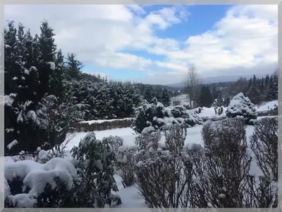 Fewo Eulennestchen-Harz L2 für Familie & Hund im Winter