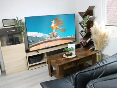 TV/Unterhaltungsangebot in der Unterkunft Heimat Goslar Apartments 
