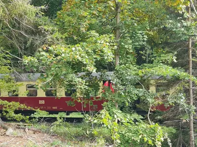 Ein Garten an der Unterkunft Ferienwohnung am Wald mit Garten