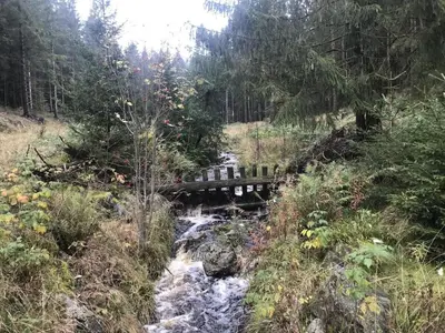 Naturlandschaft in der Nähe des Ferienhauses