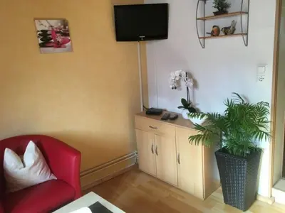 TV/Unterhaltungsangebot in der Unterkunft Apartment Wohnung in Wernigerode mit Garten by Interhome
