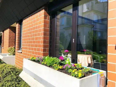Ein Garten an der Unterkunft Apartment Fewo für 2 Personen mit Wintergarten by Interhome