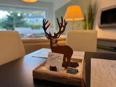 TV/Unterhaltungsangebot in der Unterkunft Apartment Ferienwohnung mit Infrarotwärmekabine by Interhome