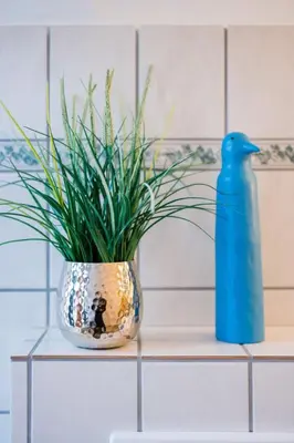 Grundriss der Unterkunft Apartment Burg im Zwinger Burgfee by Interhome