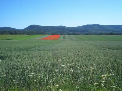 Naturlandschaft in der Nähe der Ferienwohnung