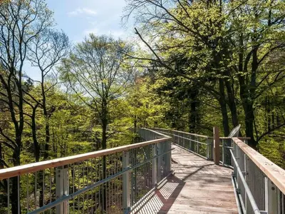 Naturlandschaft in der Nähe der Ferienwohnung