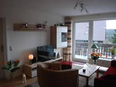 TV/Unterhaltungsangebot in der Unterkunft Apartment mit Balkon in Hohegeiß by Interhome