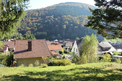 Naturlandschaft in der Nähe des Ferienhauses