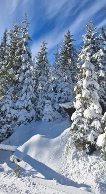 Ferienwohnung Auszeit früher Harz-Momente Bruchberg im Winter