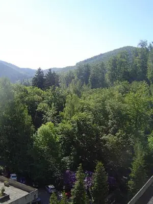 Naturlandschaft in der Nähe der Ferienwohnung