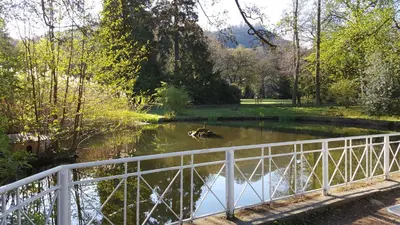 Naturlandschaft in der Nähe der Ferienwohnung