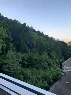 Naturlandschaft in der Nähe der Ferienwohnung