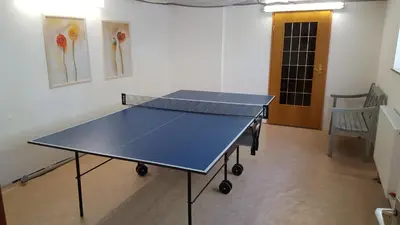 Tischtennis in der Unterkunft Harz Blick oder in der Nähe