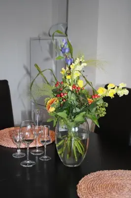 Getränke in der Unterkunft Apartment Gemütliche Wohnung in Wernigerode mit Garten und Grill by Interhome