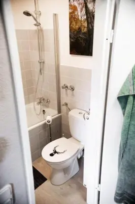 Ein Badezimmer in der Unterkunft Apartment Harzgeiss by Interhome