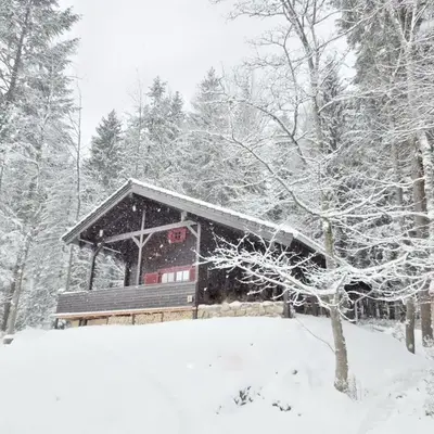 Holiday Home Blockhaus Bodefall by Interhome
