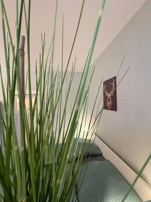 Grundriss der Unterkunft Appartement Königshütte
