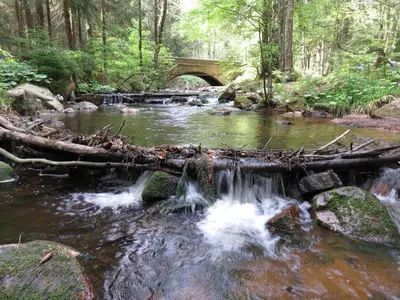 Naturlandschaft in der Nähe der Ferienwohnung