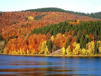 Naturlandschaft in der Nähe der Ferienwohnung