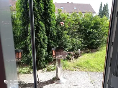 Ein Garten an der Unterkunft Herzlich & Harzlich Willkommen