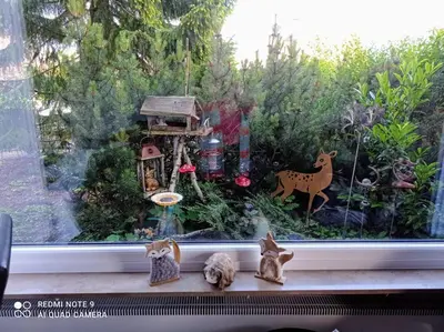 Tiere in der Ferienwohnung oder in der Nähe