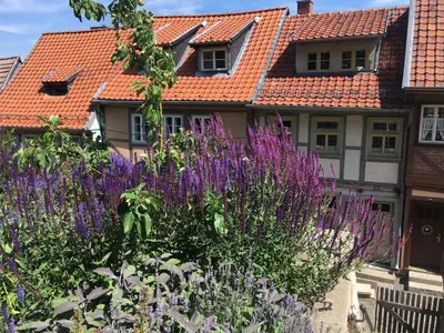 Ein Garten an der Unterkunft Idyll 23