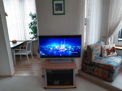 TV/Unterhaltungsangebot in der Unterkunft UrlaubsOase Braunlage