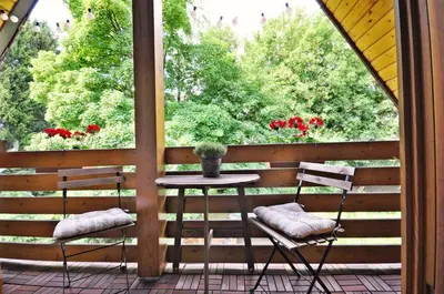 Ein Garten an der Unterkunft Pension Trautheim - Am Stadtpark