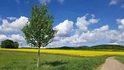 Naturlandschaft in der Nähe der Ferienwohnung