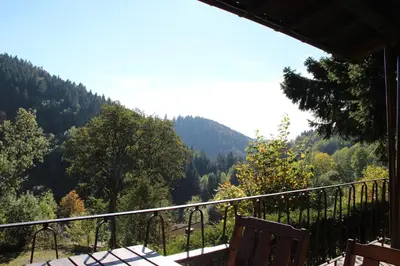 Naturlandschaft in der Nähe des Ferienhauses