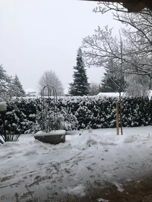 Ferienwohnung Am Eichenberg im Winter