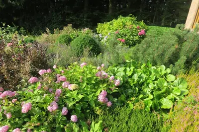 Ein Garten an der Unterkunft Ferienhaus Sonne, Harz und Sterne