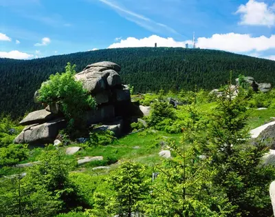 Naturlandschaft in der Nähe der Ferienwohnung
