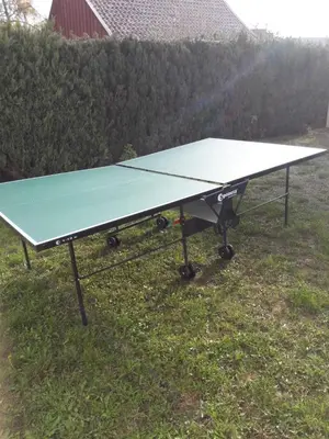 Tischtennis in der Unterkunft Ferienhaus Benneckenstein oder in der Nähe