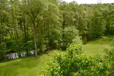 Naturlandschaft in der Nähe des Ferienhauses