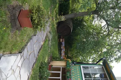 Ein Garten an der Unterkunft Hotel Am Kurpark