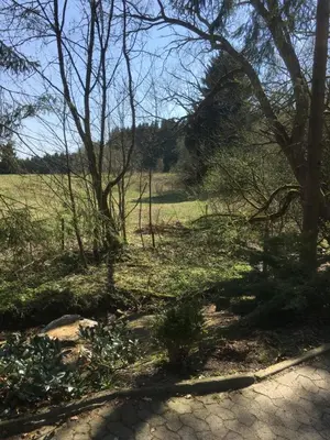 Naturlandschaft in der Nähe der Ferienwohnung