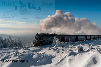 Eulennestchen-Harz Fewo S1 oder L2 Für Single, Paar oder Familie & Hund Oberharz im Winter