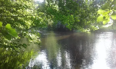 Naturlandschaft in der Nähe des Ferienhauses
