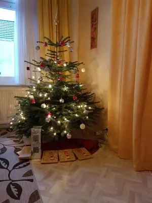 Grundriss der Unterkunft Brockenferien