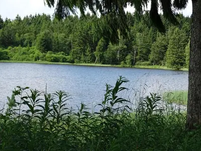 Naturlandschaft in der Nähe des Ferienhauses