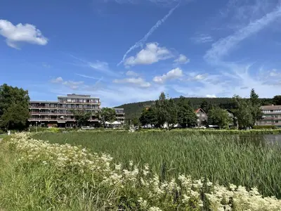 Naturlandschaft in der Nähe der Ferienwohnung