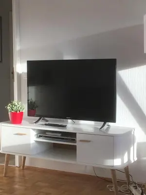 TV/Unterhaltungsangebot in der Unterkunft Ferienwohnung Harzsonne