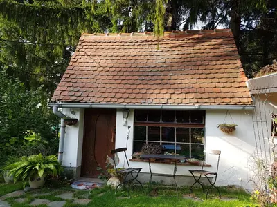 Ein Garten an der Unterkunft Wohnen im Hühnerhaus
