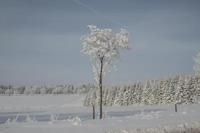 Haus am Oberen Eschenbacher Teich im Winter