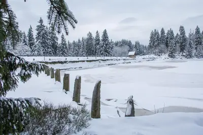 Haus am Oberen Eschenbacher Teich im Winter