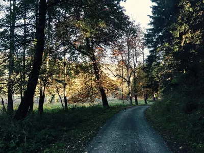 Naturlandschaft in der Nähe des Ferienhauses