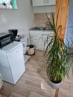 Küche/Küchenzeile in der Unterkunft Haus am Waldesrand